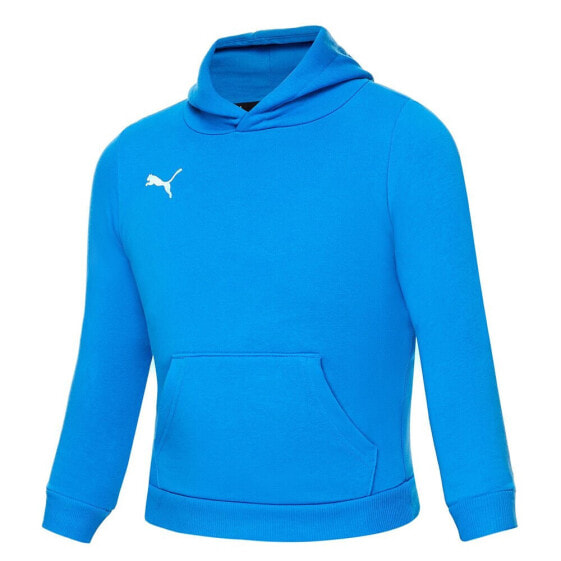 PUMA Teamgoal 23 Casuals hoodie