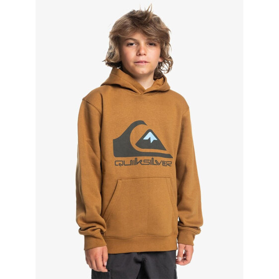 QUIKSILVER Big Logo hoodie