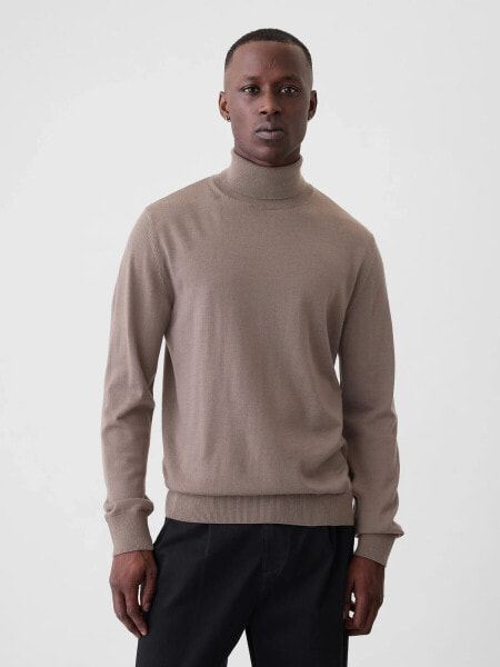 Merino Turtleneck Sweater