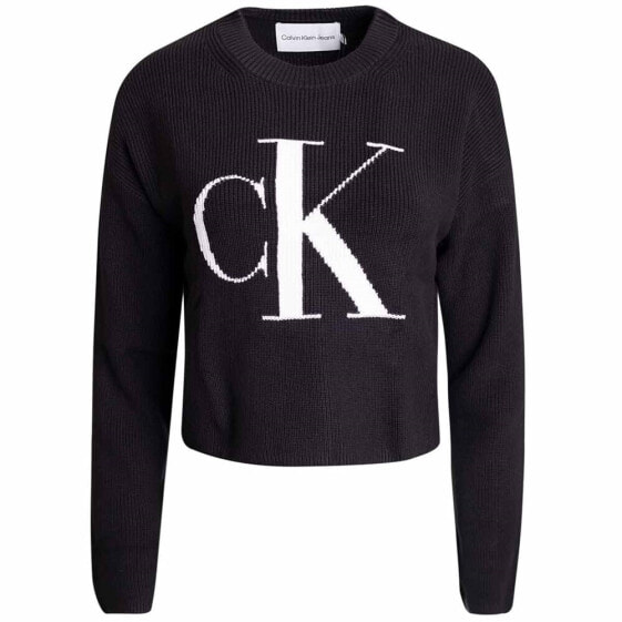 Calvin Klein J20J221132 Beh