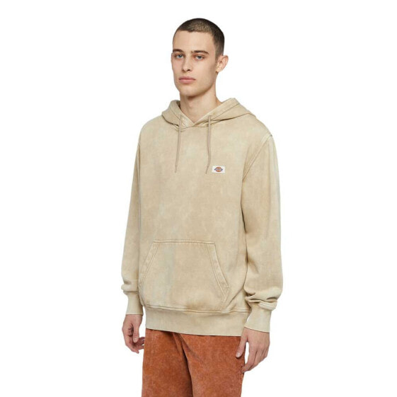 DICKIES Newington hoodie