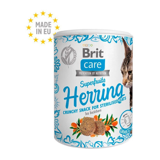 BRIT Care Superfruits Herring 100g Cat Snack