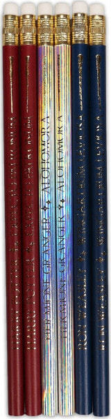 Harry Potter Harry Potter - Zestaw ołówków w pudełku Wands 6 szt.