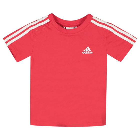 ADIDAS IB 3 Stripes short sleeve T-shirt