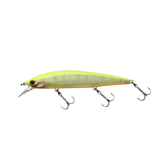 Jackall RERANGE MR Jerk Baits (JRERA110MR-CHBP) Fishing