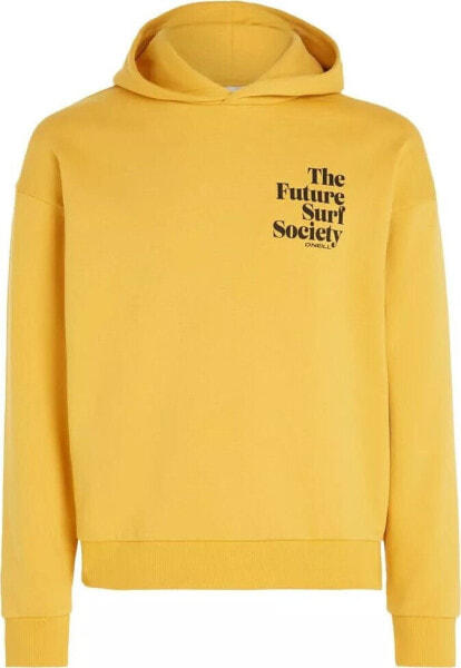 O Neill Damska Bluza FUTURE SURF SOCIETY HOODIE