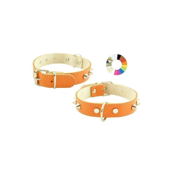 YOUPET Mountain Co1F 55x3 cm Dog Collar