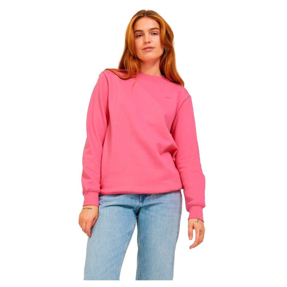 JACK & JONES Abbie Rel Every Brush sweatshirt