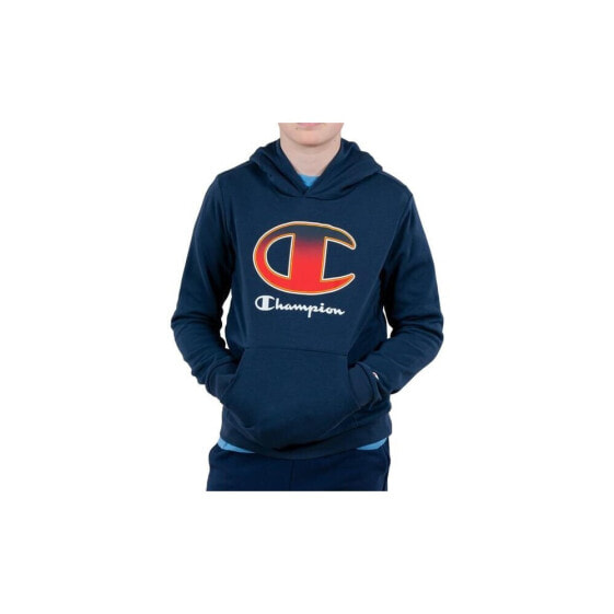 Champion Hooded Sweatshirt