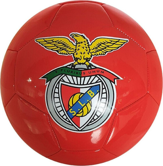 Victoria Sport PIŁKA NOŻNA BENFICA R.5