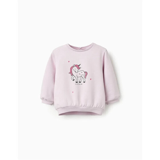 ZIPPY ZBGAP0202 sweatshirt