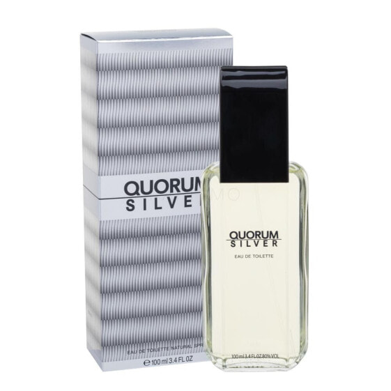 Antonio Puig Quorum Silver 100 ml eau de toilette für Herren