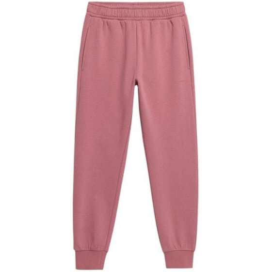 Outhorn pants W OTHAW22TTROF041 53S