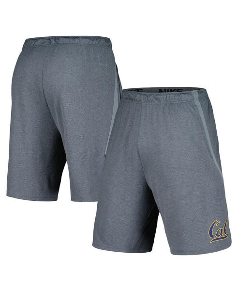 Men's Gray Cal Bears Hype Performance Shorts