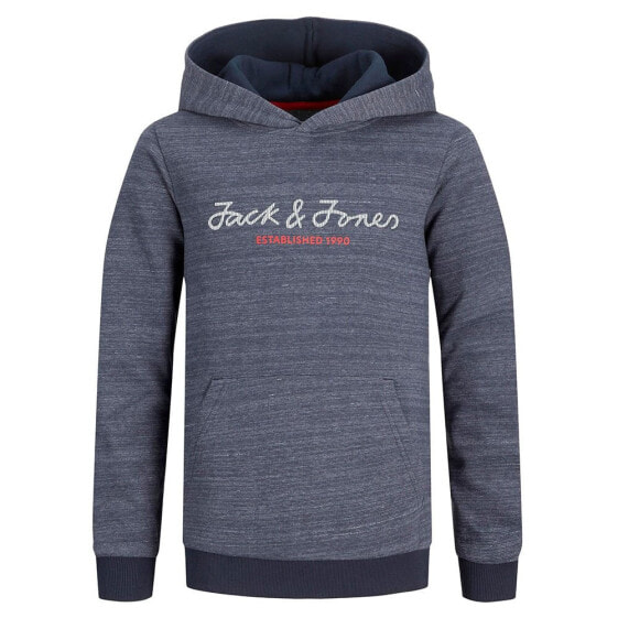 JACK & JONES Berg hoodie