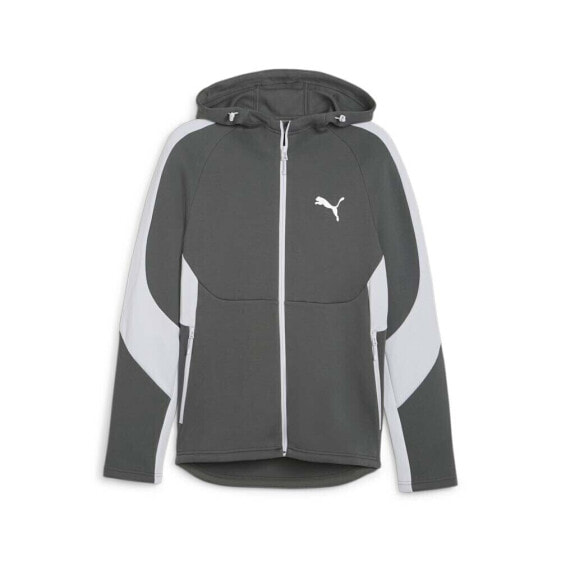 Puma Evostripe FullZip Hoodie Mens Grey Casual Outerwear 67899580