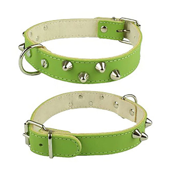 YOUPET Mountain Co2F 50x2.5 cm Dog Collar