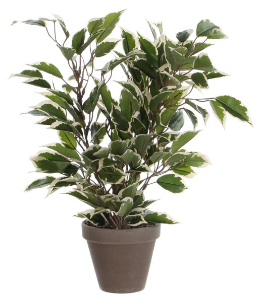 Kunstpflanze Ficus Natasja