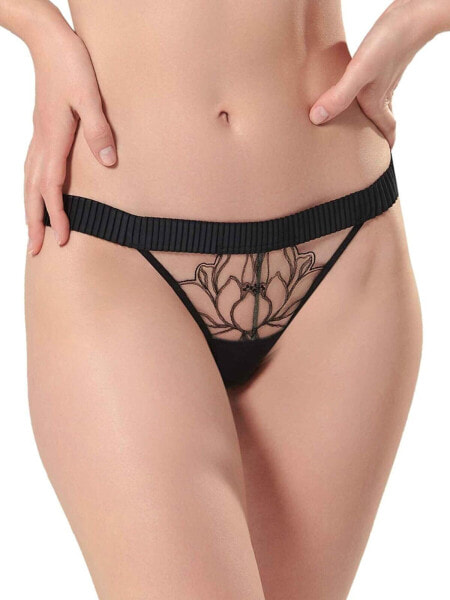 Bluebella Maia Brief Black/Sheer UK 6 (US Size 2/2XS)