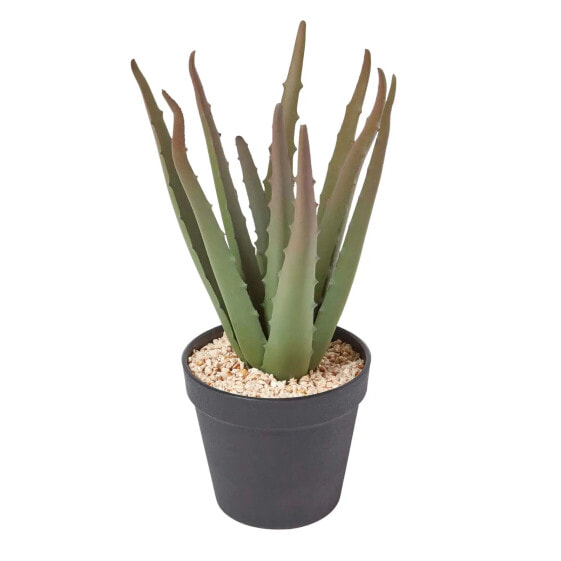 Klein Künstliche Echte Aloe Vera