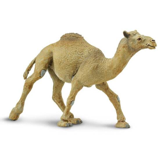 SAFARI LTD Dromedary Camel Figure