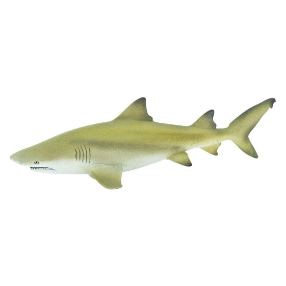 SAFARI LTD Lemon Shark Figure