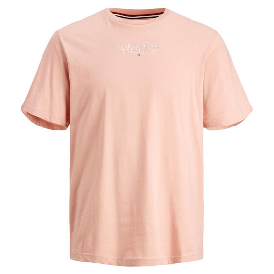 JACK & JONES Bluarchie short sleeve T-shirt