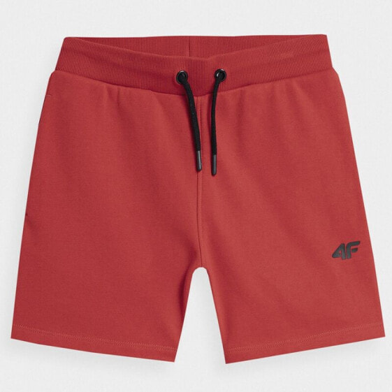 Shorts 4F Jr 4FJSS23TSHOM048 62S