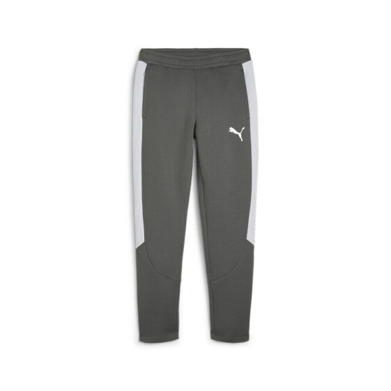 Puma Evostripe Pants Mens Grey Casual Athletic Bottoms 67899780