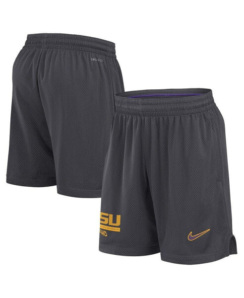 Men's Anthracite LSU Tigers 2024 Sideline Mesh Shorts