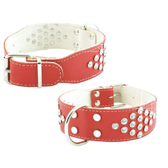 YOUPET Bull Dog Fant55x4 cm Dog Collar