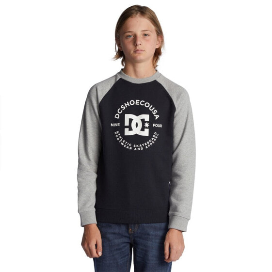 DC SHOES Strpltrglncwb sweatshirt