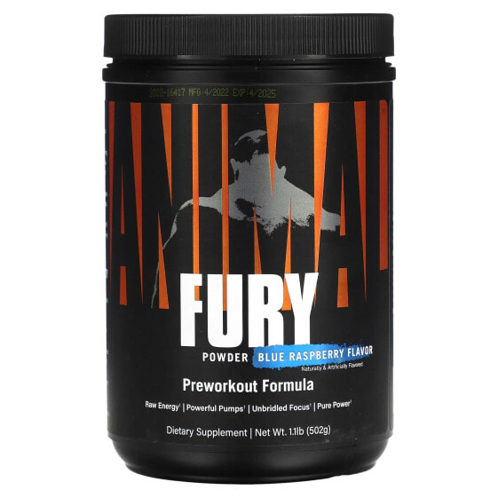 Fury® Essentials, Pre Workout, Blue Raspberry, 1.09 lb (495 g)