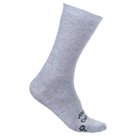 JOLUVI Coolmax Classic socks 2 pairs