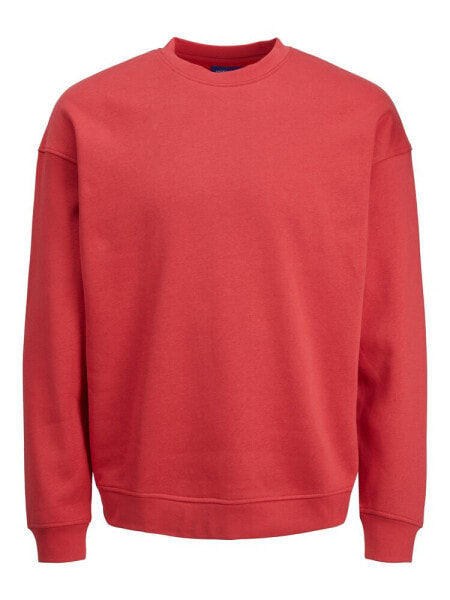 JACK & JONES Brink 12186363 sweatshirt