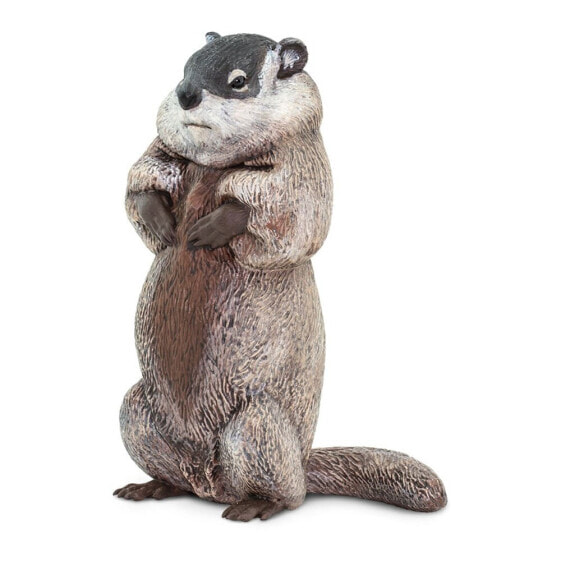 SAFARI LTD Groundhog Figure