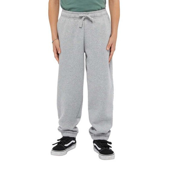 DICKIES Youth Mapleton sweat pants