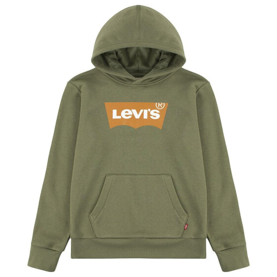 LEVI´S ® KIDS Batwing Screenprint hoodie