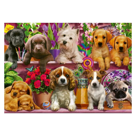 Puzzle Hunde im Regal 500 Teile