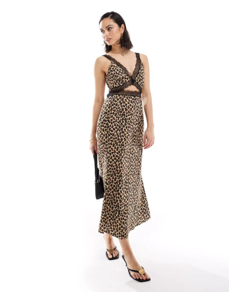 Never Fully Dressed Mimi lace cut-out midaxi dress in leopard print