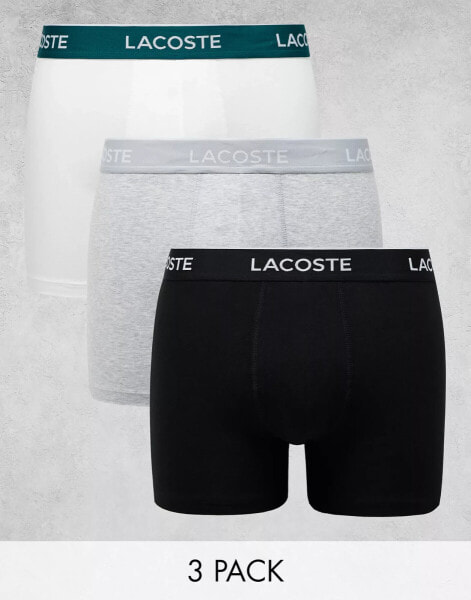 Lacoste 3 pack trunks in multi