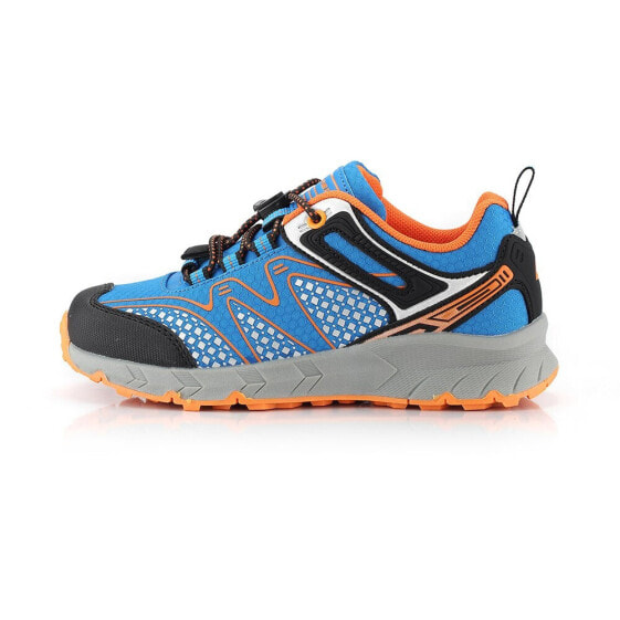 Кроссовки Alpine Pro Derfo Hiking Sho