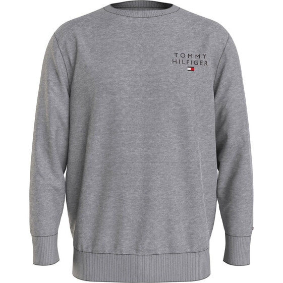 TOMMY HILFIGER UM0UM02878 sweatshirt