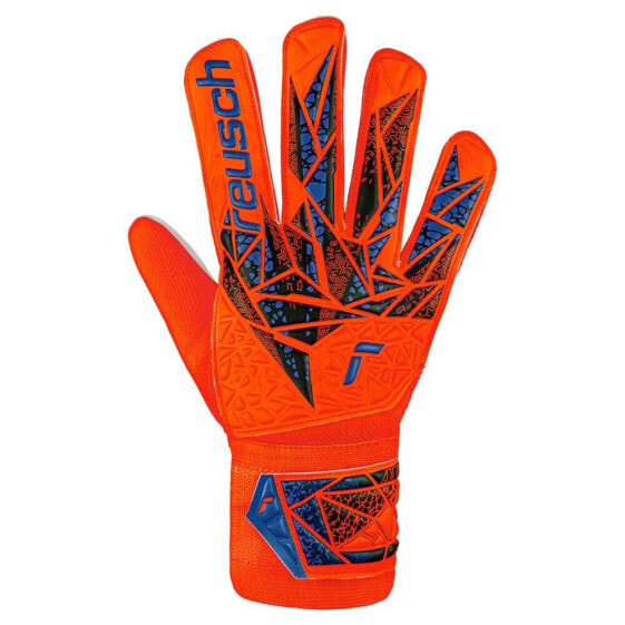 REUSCH Attrakt Starter Solid goalkeeper gloves