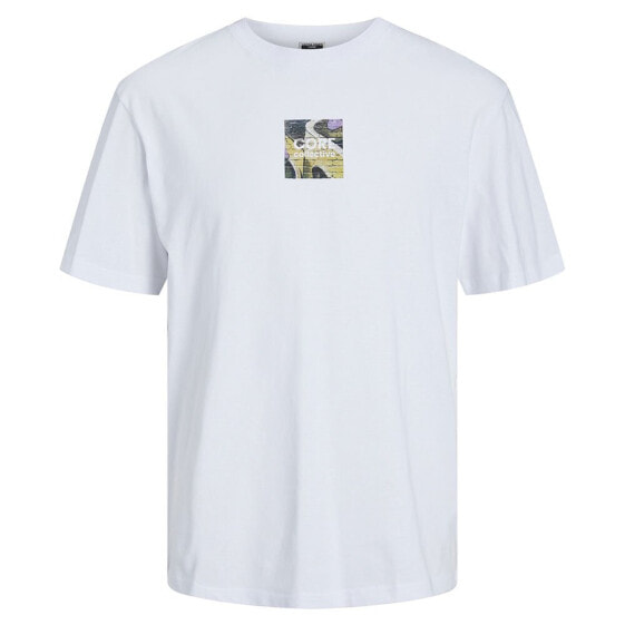 JACK & JONES Edition short sleeve T-shirt