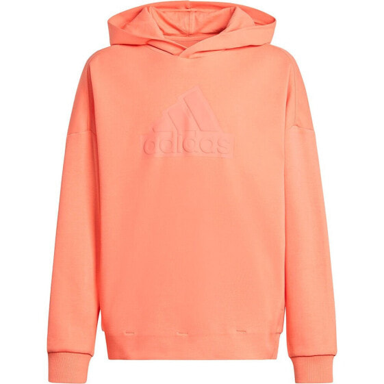 ADIDAS Fi Logo hoodie