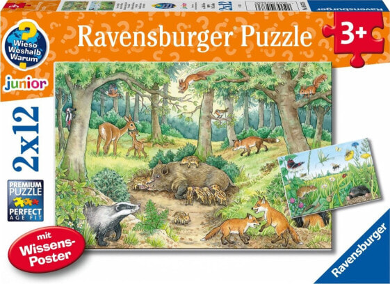 Ravensburger Ravensburger Why? For what reason? Why? Animals in the forest and on the meadow, jigsaw puzzle (2x 12 parts, with knowledge poster)