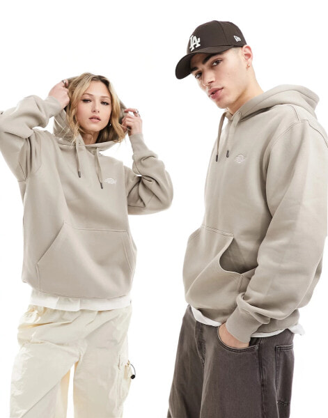 Dickies summerdale hoodie in sand