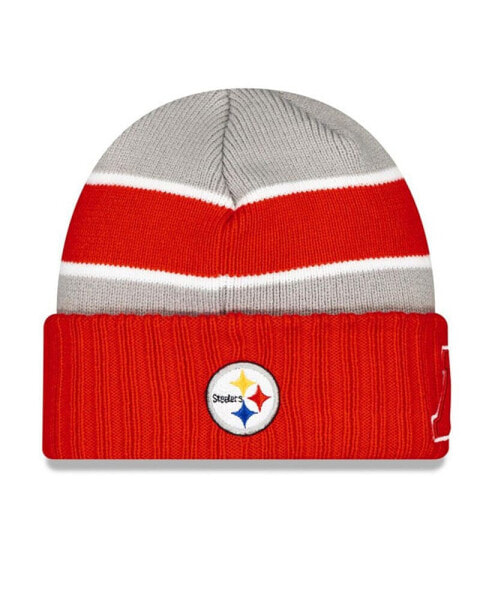 Men's Gray Pittsburgh Steelers 2024 NFL Pro Bowl Cuffed Knit Hat