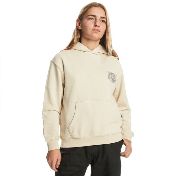 QUIKSILVER Drybridgehoo hoodie